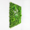 Customized new design cheap vertical green plant walls with foliage